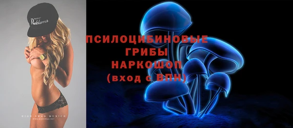 индика Алзамай