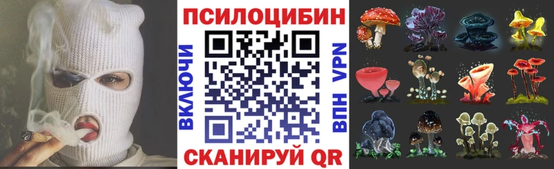 Галлюциногенные грибы мухоморы Абакан